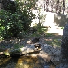 High Desert Museum, Hwy 97, Bend, Or. Pond and otter habitat.