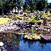 Residence- west hills Bend, Or. water feature, shrub beds.